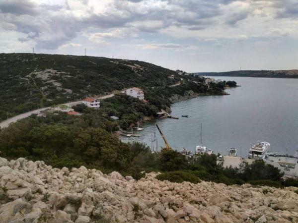 Apartments Ljerka Stara Novalja Bagian luar foto